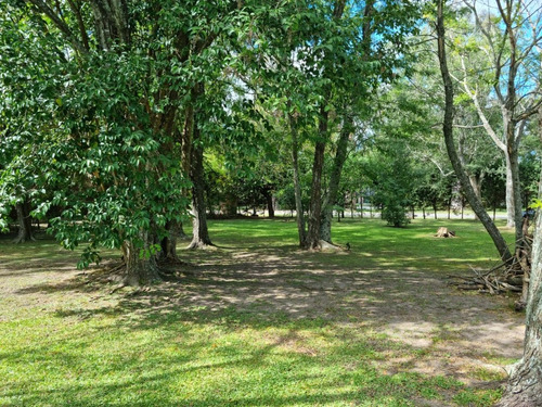 Imagen 2 de 5 de Espectacular Lote Central 735 M2 Arbolado - Ultimo Lote