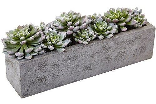 Nearly Natural Succulent Garden With Textured Concrete Plan