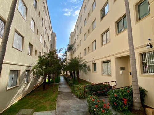 Imagem 15 de 22 de Apartamento Jardim Marcia 2 Dormitórios Reformado Armários Planejados - Ap060 - 69406726