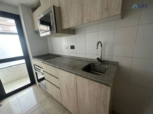 Amplio Departamento En Venta De 2d 2b. En Santiago