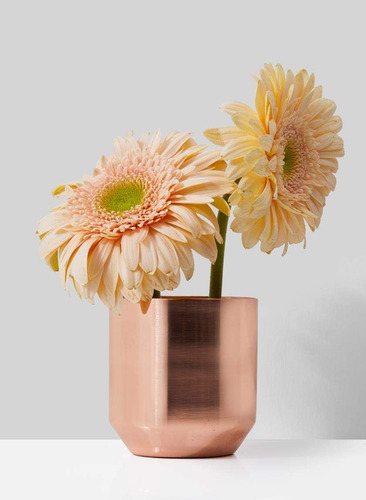 Mini Maceta Redonda Chapada En Cobre, Y De Serene Spaces Liv