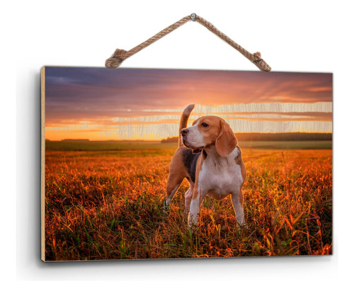 Cuadro Madera Triplay Afiche Retrato De Perro Beagle 60x90cm