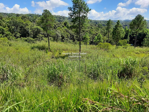 Imagem 9 de 14 de Vende-se Terreno Com 12,5 Alq. Itapeti- Santa Isabel-sp 877