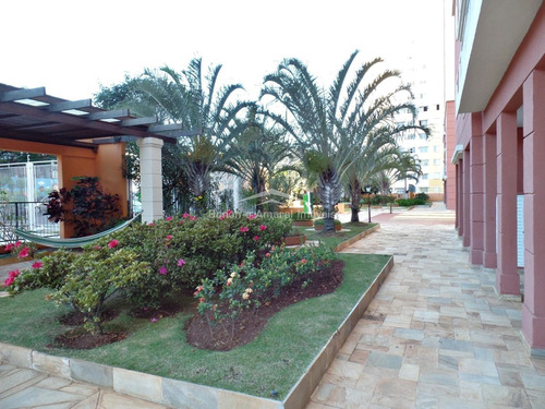 Apartamento À Venda Em Parque Itália - Ap012895