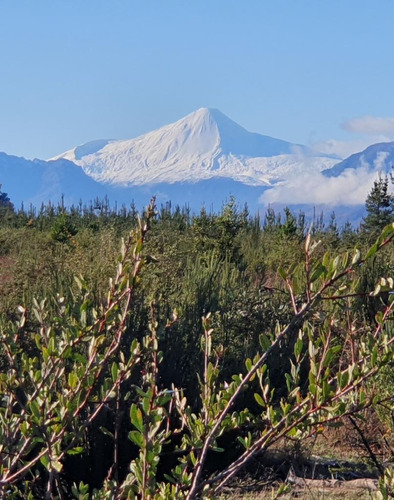 Parcelas Con Vista A Volcán Y A Pasos De Laguna Trupan.