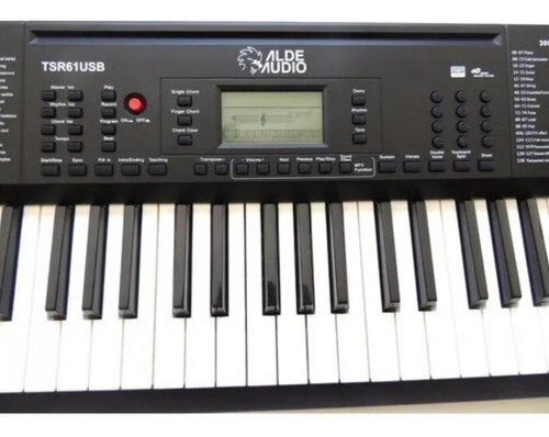 Teclado Alde Audio Tsr 61usb Electronico 61 Teclas 128 Voces Color Negro