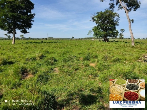 Fazenda À Venda Em Duere - To - De 60 Alqueirões (pecuária) - 1584