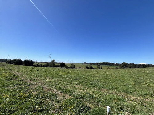 Parcela En Venta En Camino Loncotoro Llanquihue