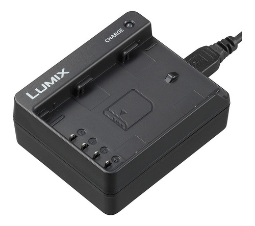 Panasonic Dmw-blf19 - Bateria De Iones De Litio  Color Negr