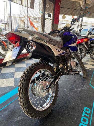 Imagen 8 de 15 de Motomel Skua 150 V6