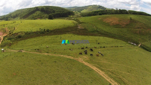 Imagem 3 de 15 de Fazenda - Zona Rural - Ref: 4755 - V-mta4755