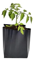 Comprar Macetas Nylon Negras - 10 Lts. - Vivero Agro Jardín (x10u)