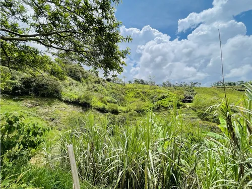 Se Vende Finca De 7 Hectáreas En San Roque, Antioquia