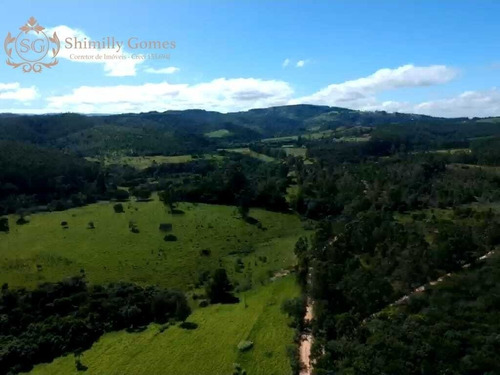 Imagem 11 de 18 de Sitio Com 18.000 Alqueires, Energia Elétrica E Casa Para Caseiro.
