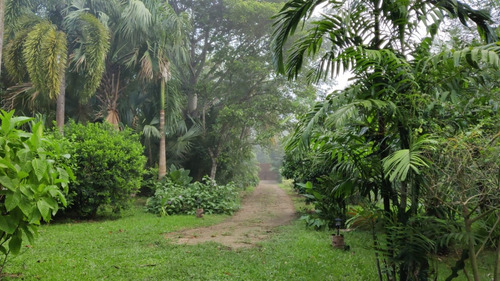 Chulada En Cholul
