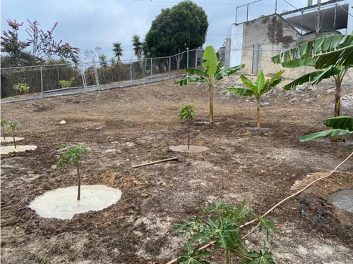 Casa En Venta Urb Privada Peña Alta El Faro San Antonio De Los Altos