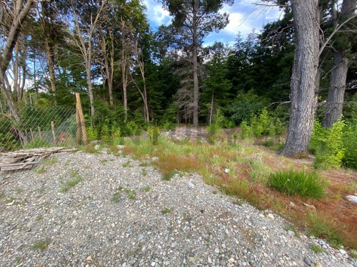 Imagen 12 de 14 de Lote En Venta - Bariloche - Avenida Bustillo Km 21 - Id: 60514