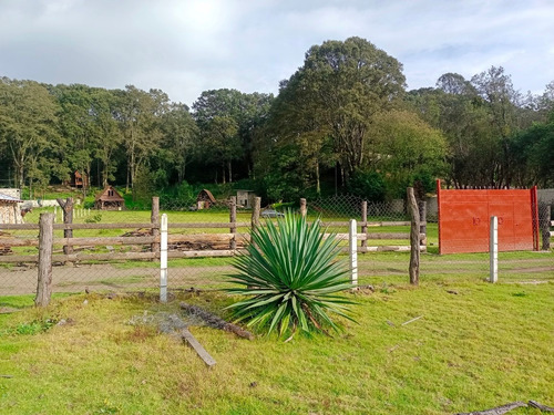 Terreno Kilómetro 55