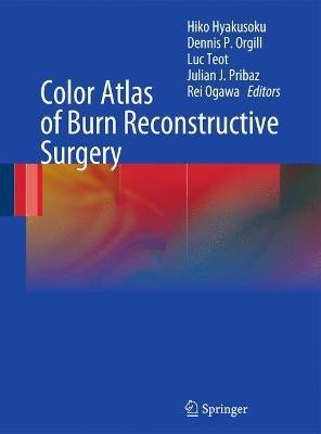 Libro Color Atlas Of Burn Reconstructive Surgery - Hiko H...
