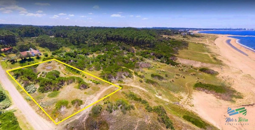 Imagen 4 de 11 de Venta Terreno Primera Linea Playa Mansa - Punta Del Este Mansa