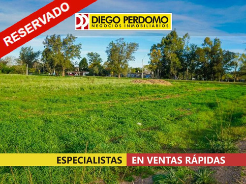 Terrenos, En Venta, Playa Pascual