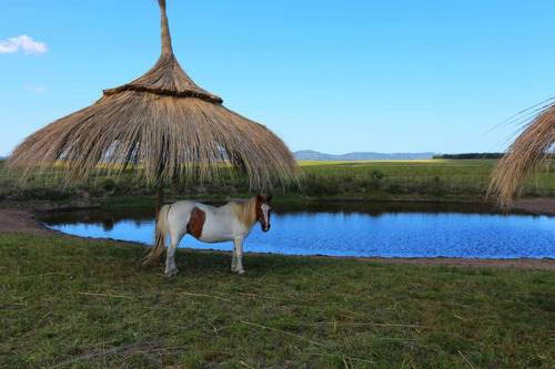 Preciosa Chacra En Vecinadad Con Laguna Del Sauce, Ruta 9
