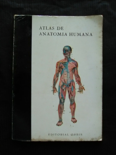 238 Atlas  Anatomía  Humana Editorial Orbis