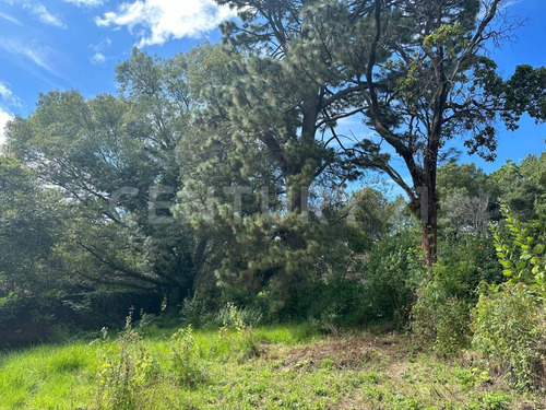 Terreno En Venta En Huitzilac, A 100 M De Avenida Principal