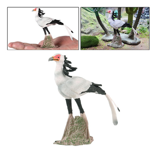 2 Figuras Pájaro Secretario Para Infantil Y 2 Piezas