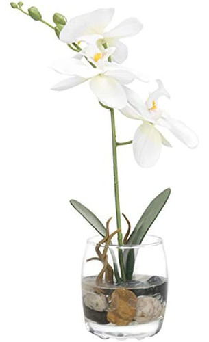 Mygift Mini Orquídea Phalaenopsis Artificial De Seda Sintéti