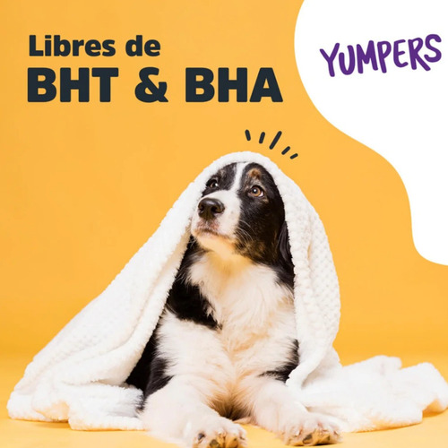Imagen 5 de 6 de Trick & Treats Premios Suaves Para Perros Yumpers Carne