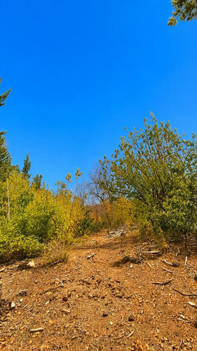 Vive En La Naturaleza Parcela De 10000mt2 En La Placeta