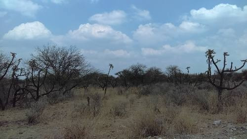 Imagen 8 de 13 de Macrolote En Venta Para Desarrolladores En Tequisquiapan, Querétaro.