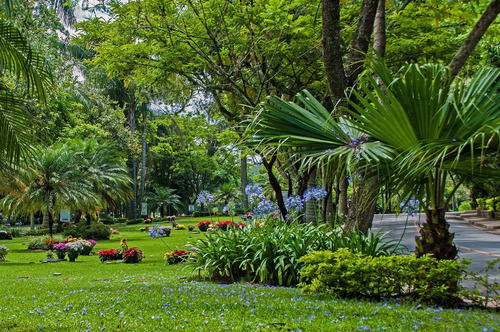 Imagem 5 de 8 de Jazigo No Cemitério Parque Jaraguá
