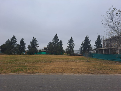 Imagen 3 de 4 de Lote En Venta De 1296m2 Ubicado En Lagos San Eliseo