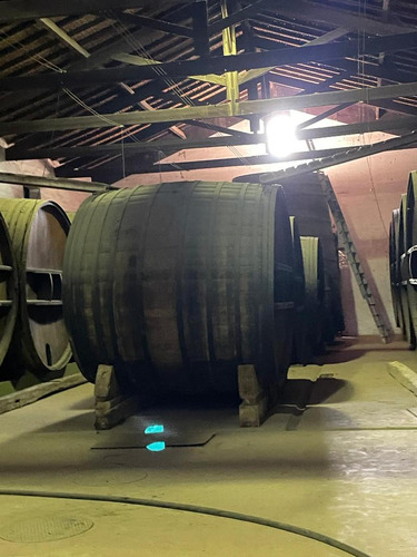 Bodega En Maipú Mendoza