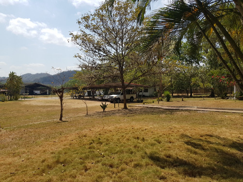 Terreno Plano En Venta San Francisco De Yare 100.817m²,jg
