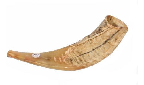 Imagem 6 de 6 de Shofar Chifre De Carneiro De Tocar - De Israel E1 25-29 Cm