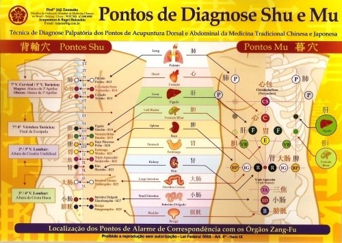 Mapa Pontos De Diagnose Shu E Mu - Prof. Franco Joji Enomoto
