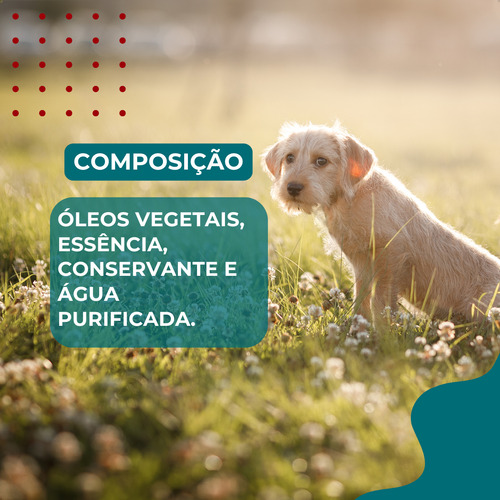 Tapete Ultra Secão Greatpets 80x60 Carvão + Educador PipiPod