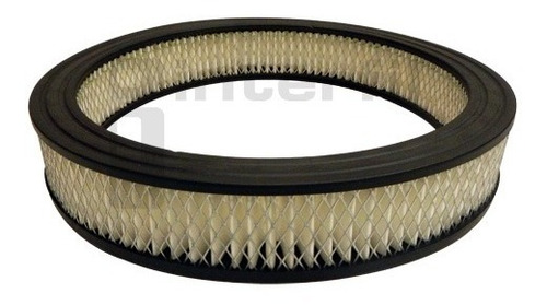 Filtro Aire Ford Mustang 1979 - 1980 5l Gasolina 