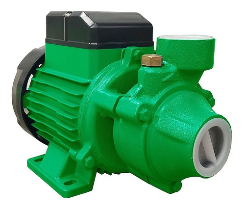 Bomba Periferica De Agua 1/2 Hp 220v 33m Rowa Pr 60 Ahora 12