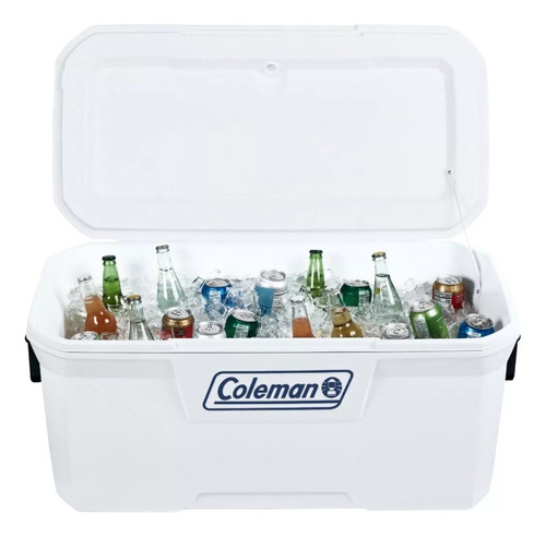 Conservadora 316 Series Marine 120qt White