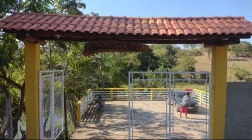 Imagem 18 de 19 de Pj Linda Chácara A Venda