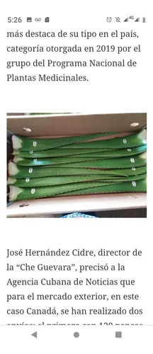 Sábila Aloe Vera Orgánica