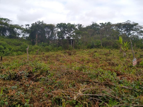 Imagem 6 de 9 de Terreno Na Praia 700m Da Rodovia Com 275m² 6767