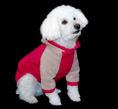 Imagen 3 de 10 de Buzo Polar Perros Chicos Caniche Yorkshire Talles 2, 3 Y 4