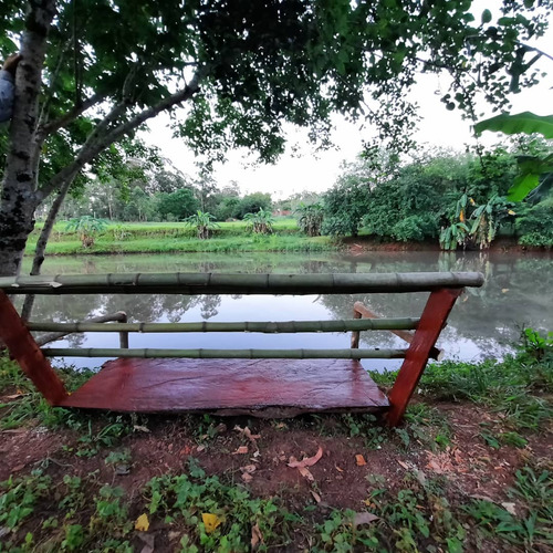 Quinta-camping-s.isidro-pdas.mnes.casa-3 Lagos C/peces-.ting