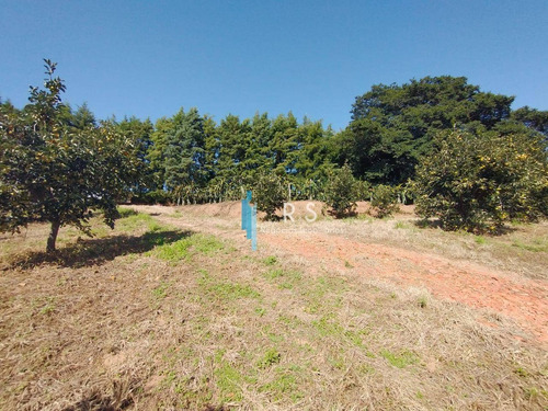 Sítio À Venda, 40000 M² Por R$ 2.000.000,00 - Engenho Seco - Louveira/sp - Si0009