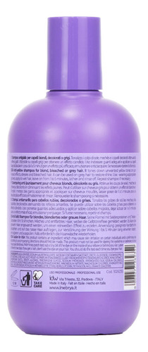 Shampoo Inebrya No Yellow 300ml Matizador Rubio Y Gris